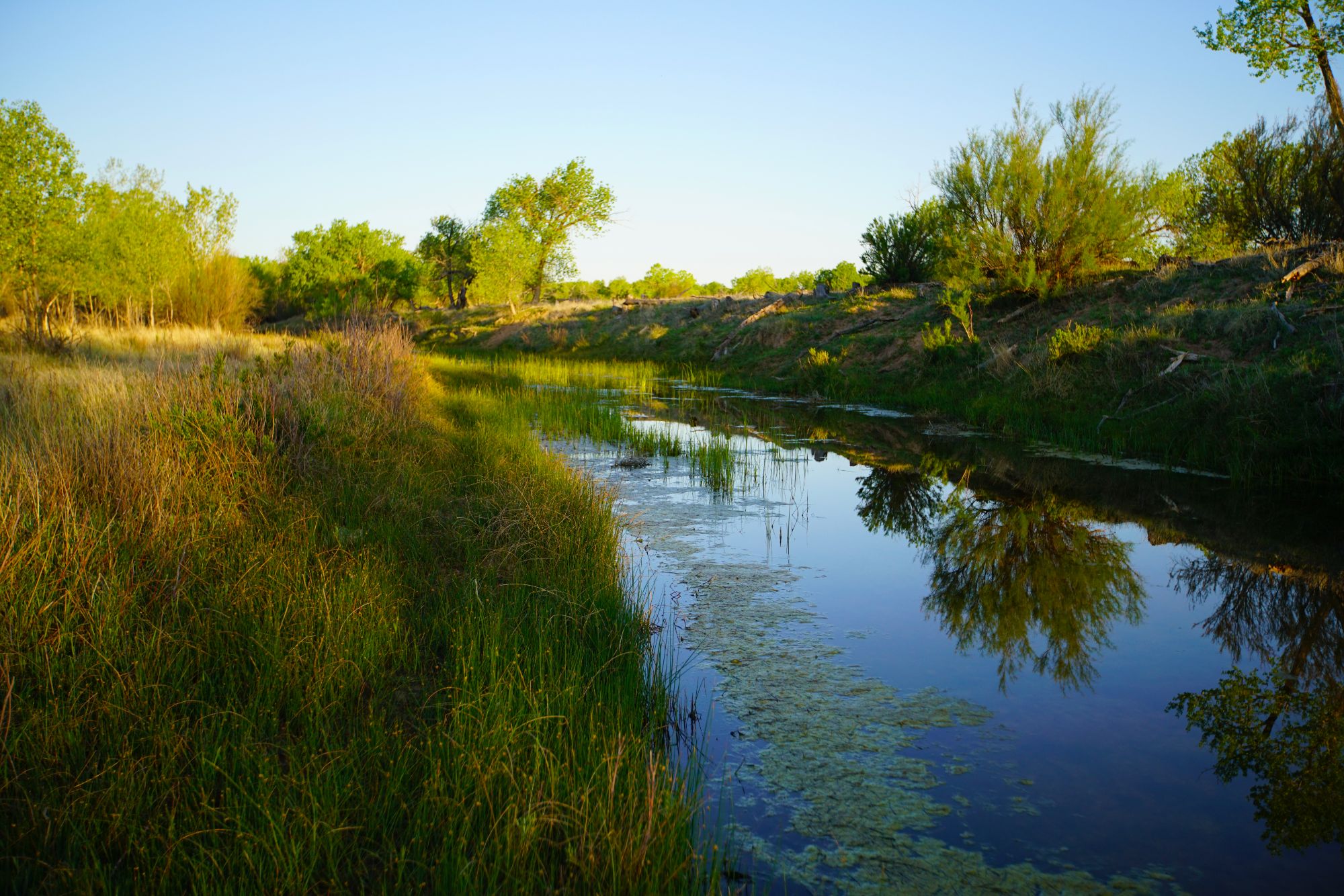 Nearly 600,000 acres available for hunting, fishing and trapping