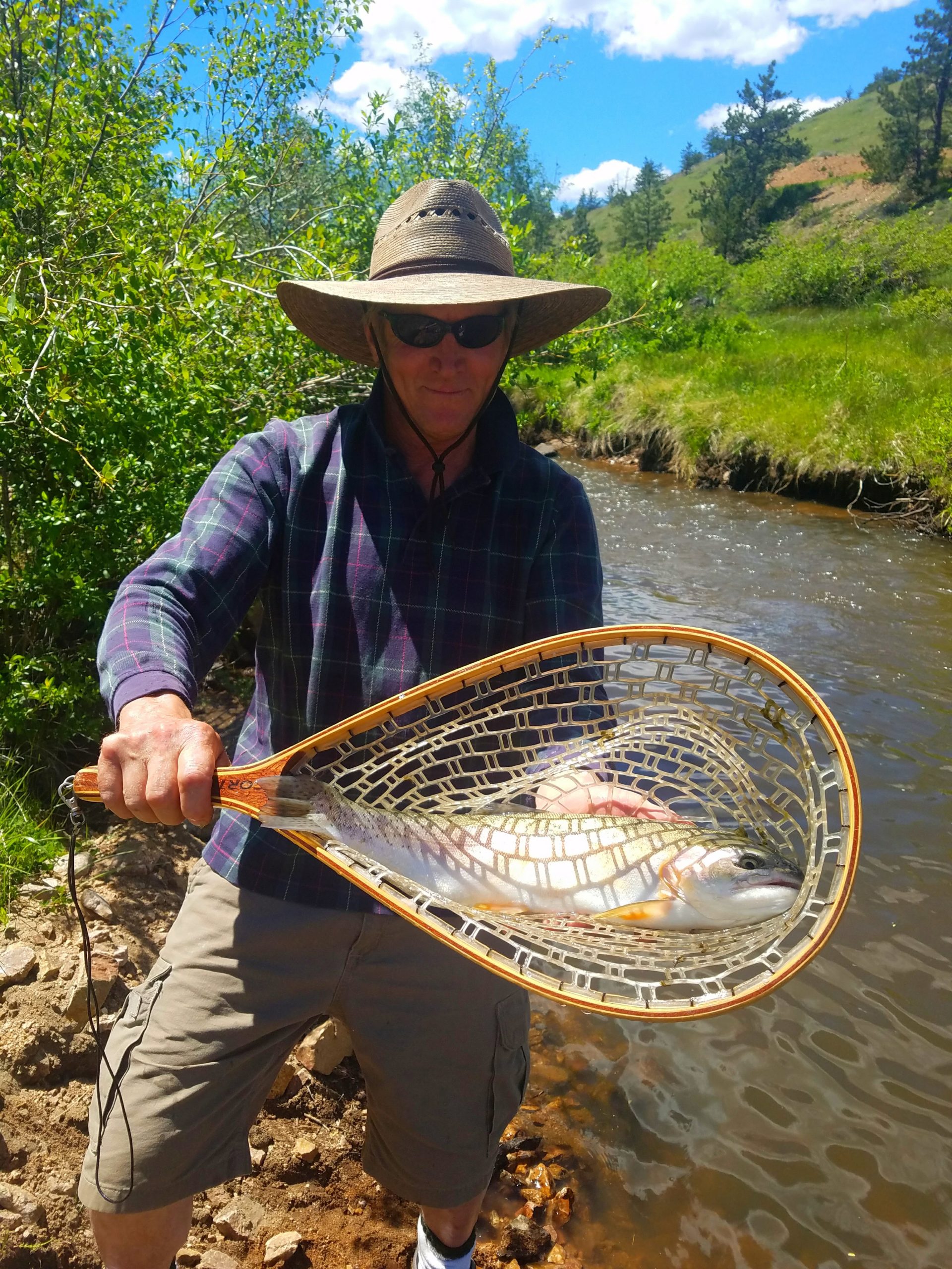 Holding a Minnow for Fishing Bait Stock Photo - Image of live, holding:  194536062