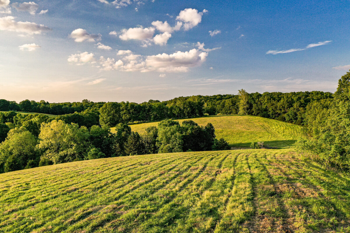 Trent Creek Lookout | Hayden Outdoors