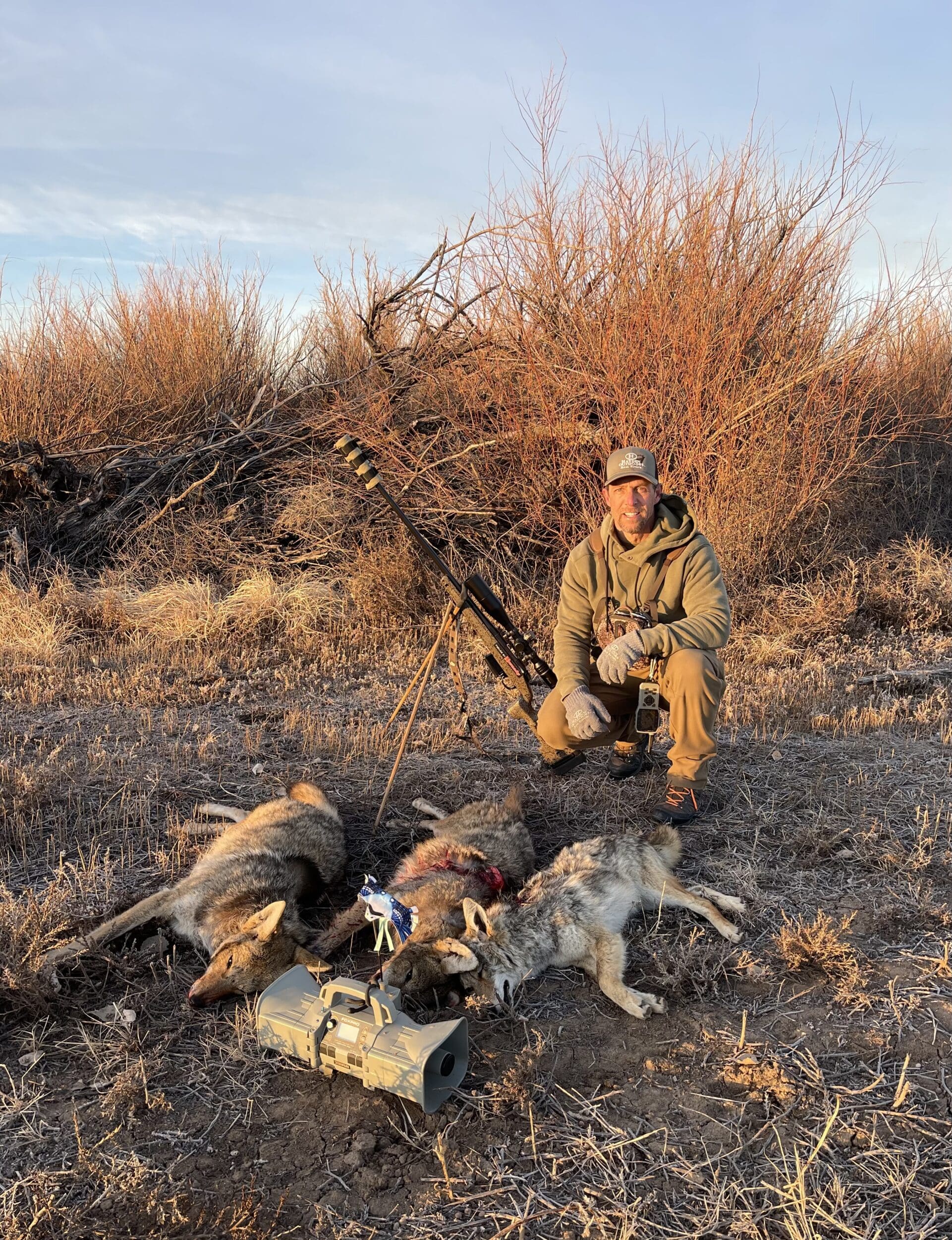 agent clay owens with coyotes