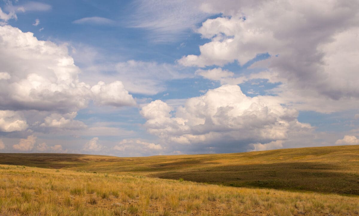 earn income from rural property featured image Upland bunchgrass prairie with blue sky and clouds